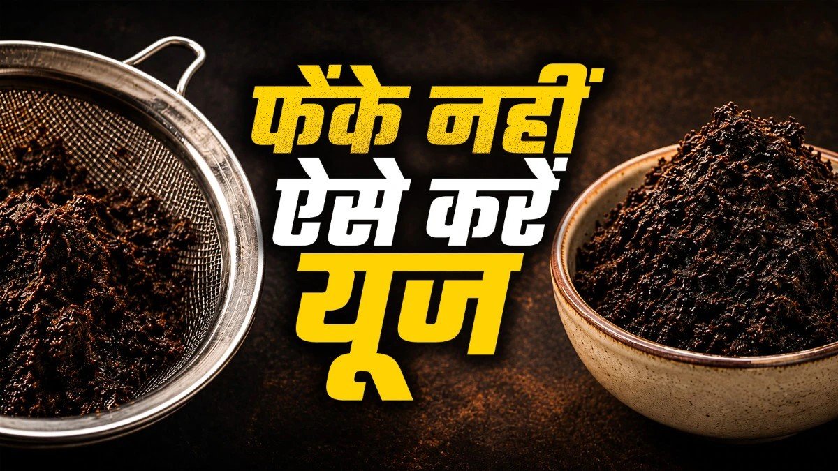 Leftover Chai Patti: चाय की बची हुई पत्ती फेंकना बंद करें, इन आसान तरीकों से करें इस्तेमाल, घर का कोना-कोना चमक उठेगा
