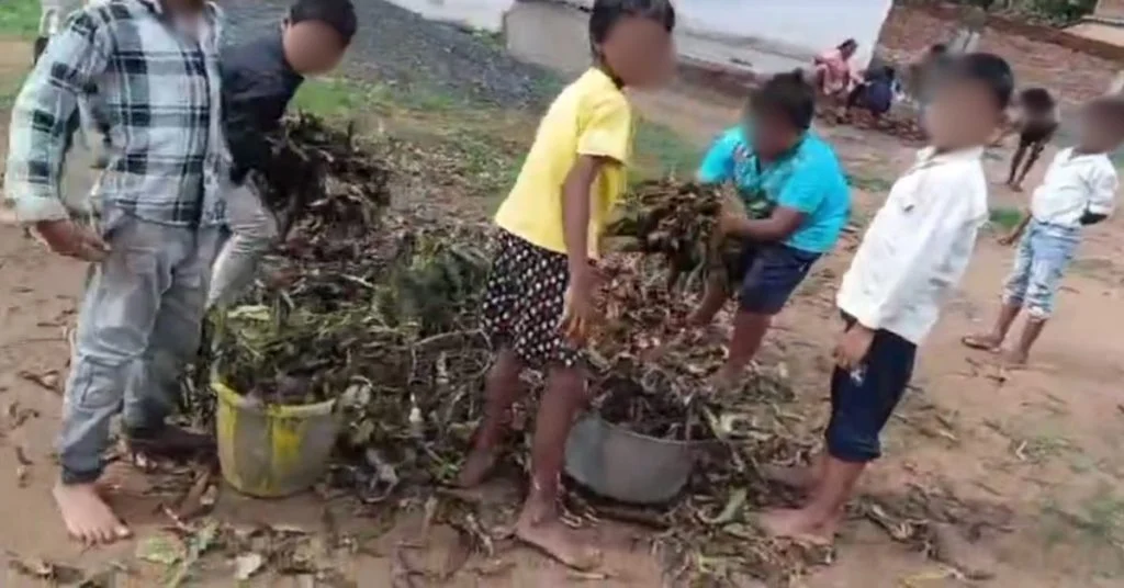 Shahdol Government School Viral Video: किताबों की जगह झाड़ियां साफ करते दिखे बच्चे, वीडियो वायरल होने के बाद जांच शुरू