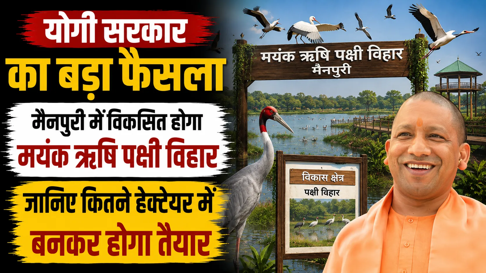 मैनपुरी में बनेगा मयंक ऋषि पक्षी विहार, योगी कैबिनेट ने 6 हेक्टेयर जमीन देने को दी मंजूरी