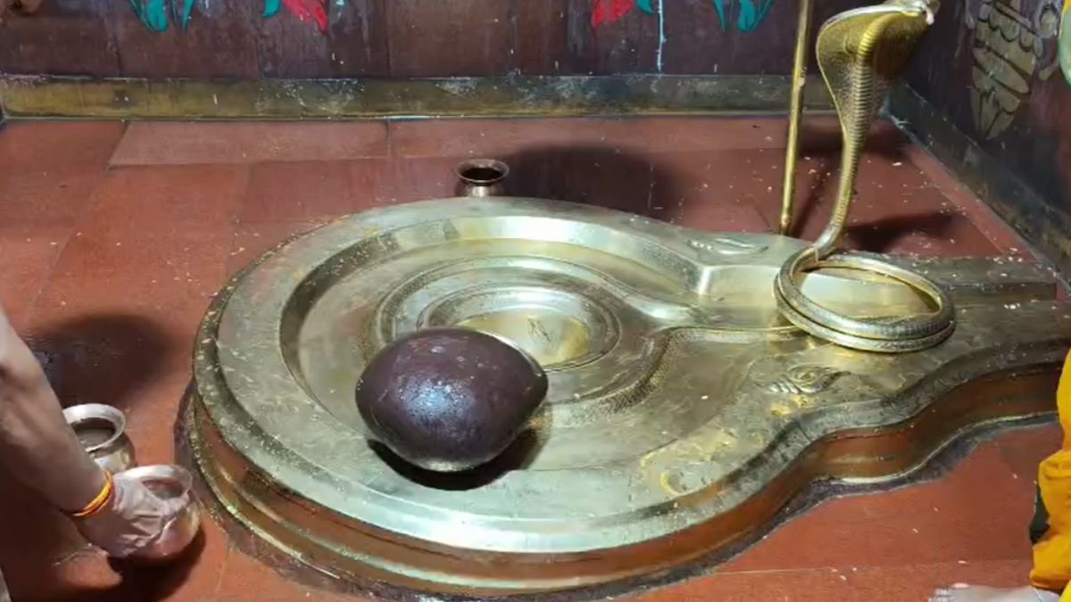 Sawan Somwar: सिद्धेश्वर महादेव धाम में आस्था की अनोखी परीक्षा, कोहनी के बल उठता है शिवलिंग, भक्त मानते हैं मनोकामना पूरी होने का संकेत